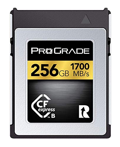 ProGrade Digital 256GB CFexpress Type B Memory Card (Gold)