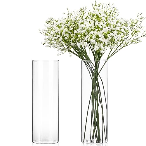 Clear Glass Cylinder Vases for Centerpieces