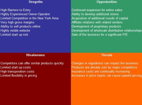 Business Software Company SWOT Analysis