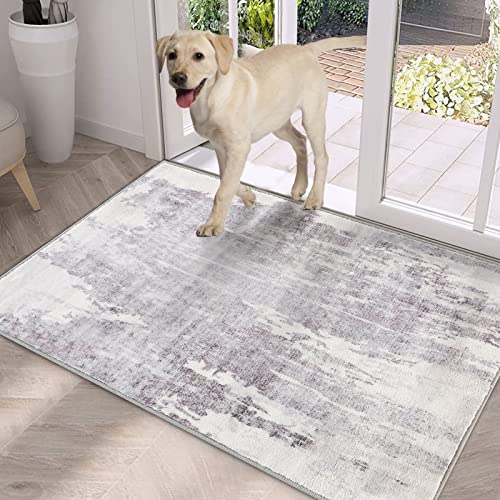 Indoor Door Mat with Non-Slip Backing - Ultra Soft and Absorbent
