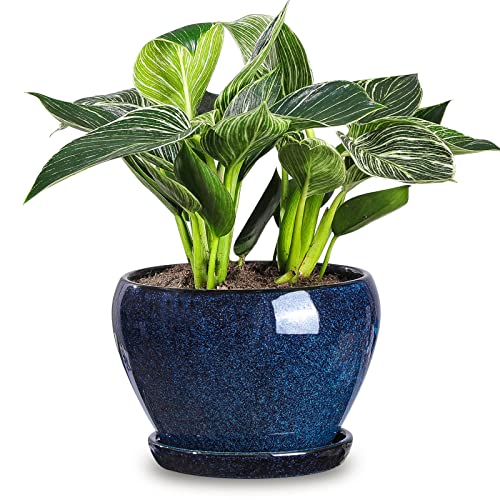 Ceramic Plant Pots Indoor - Blue