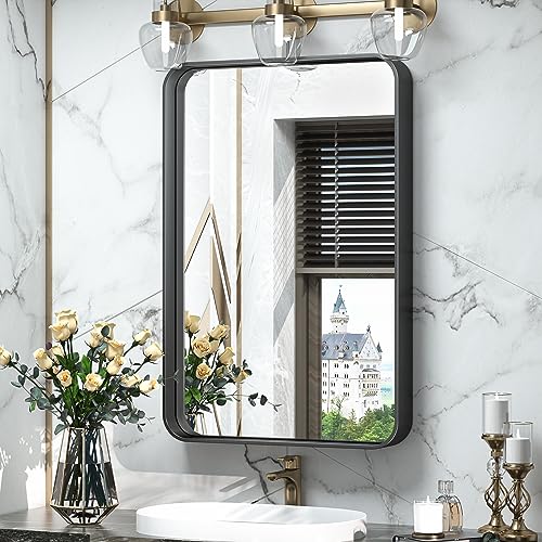 TokeShimi 16x24 Inch Black Bathroom Wall Mirror
