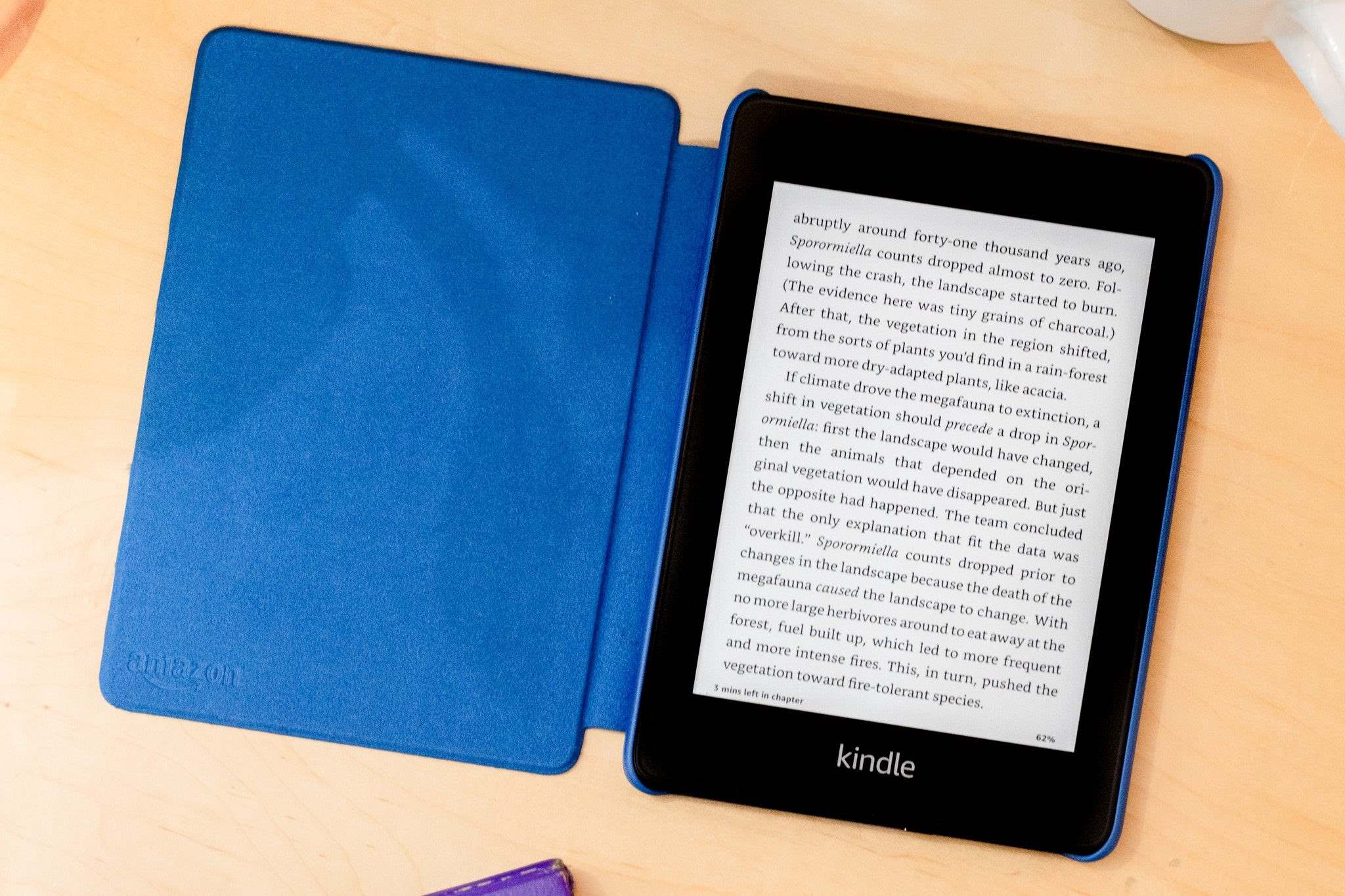 8 Amazing Kindle Case for 2024