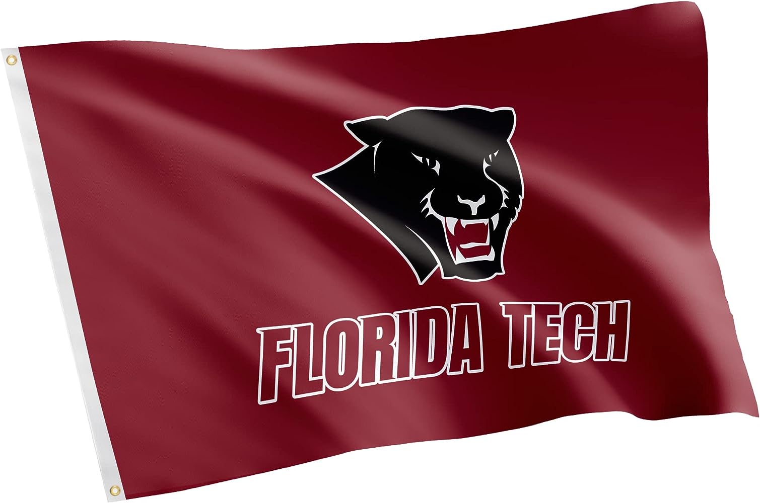 8 Unbelievable Florida Institute Of Technology for 2024