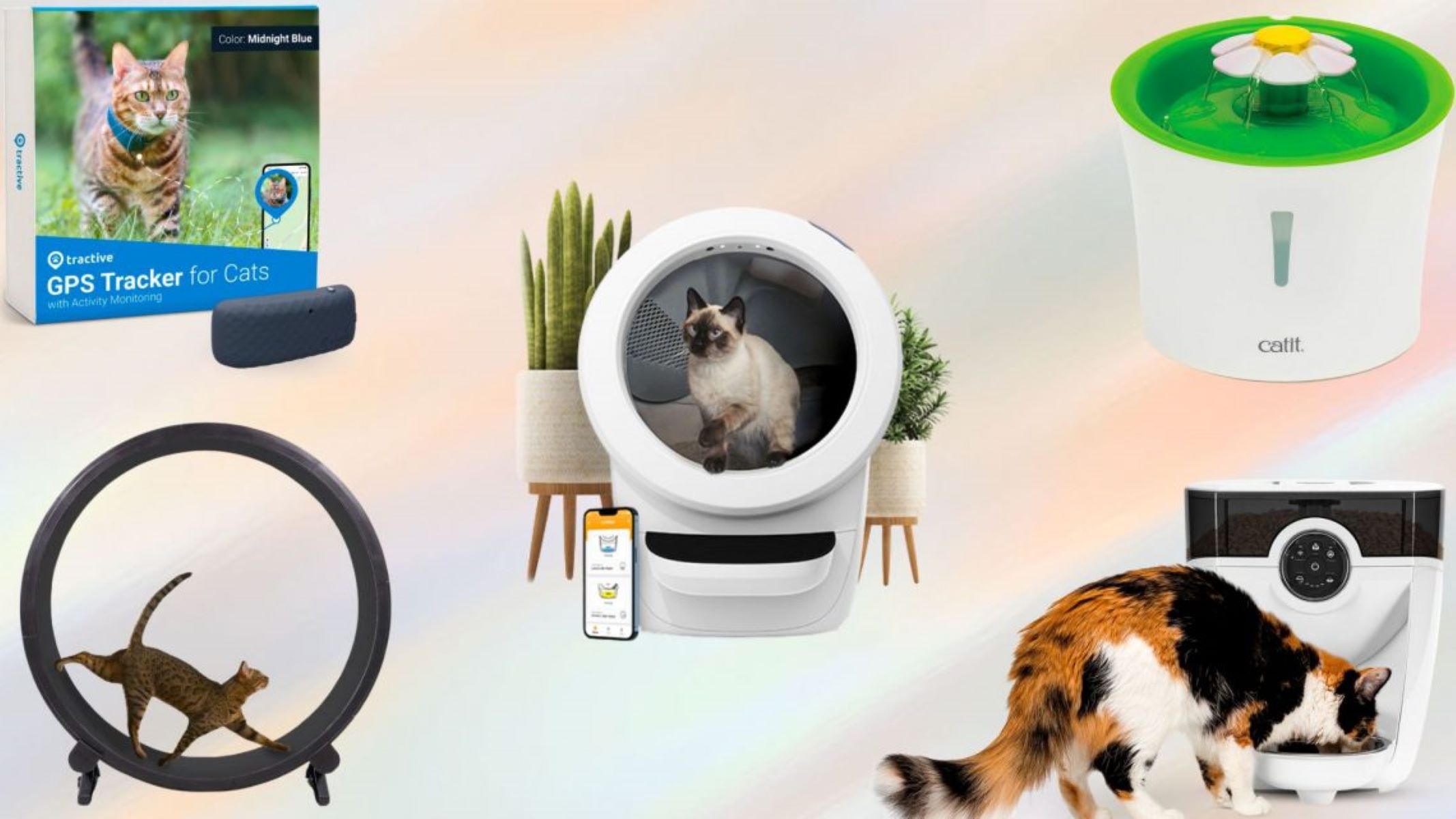 9 Superior Cat Gadgets for 2024