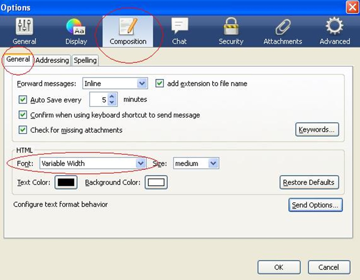 Changing The Default Mozilla Thunderbird Message Font