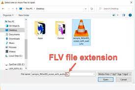 flv-file-what-it-is-and-how-to-open-one