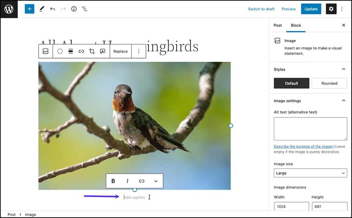 How To Add A Web Caption That Stays With Its Image