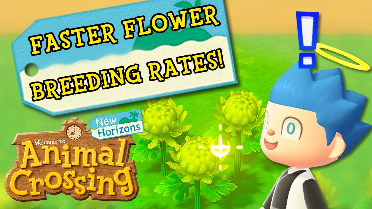 How To Breed Flowers In Animal Crossing