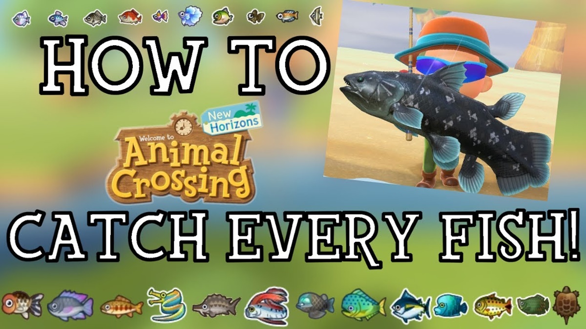 How To Fish In Animal Crossing: New Horizons