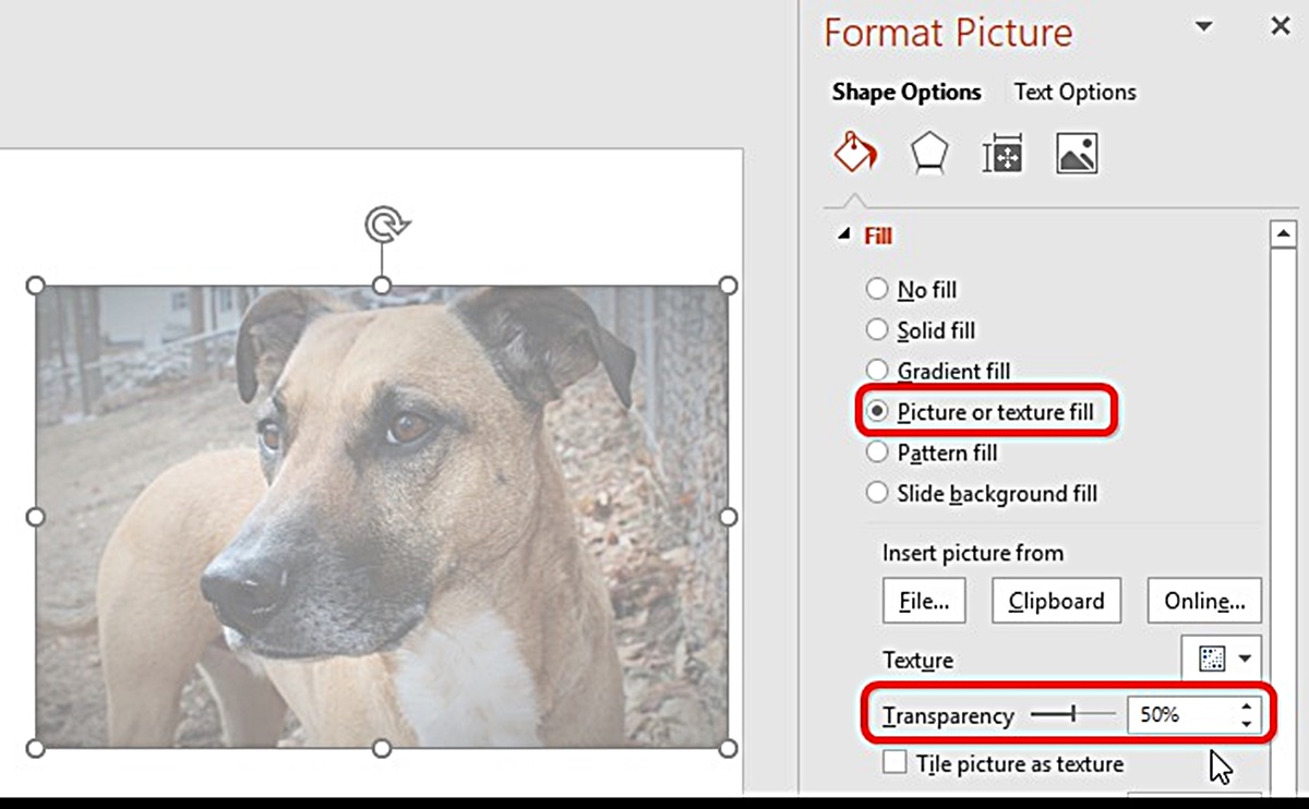 How To Make An Image Background Transparent In PowerPoint