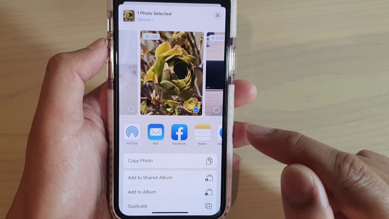 How To Save A Live Photo As A Video On iPhone