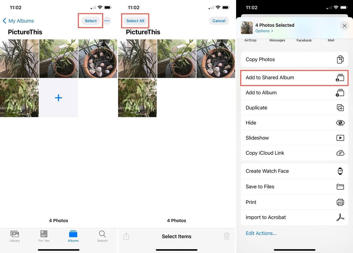 How To Share An Album On iPhone