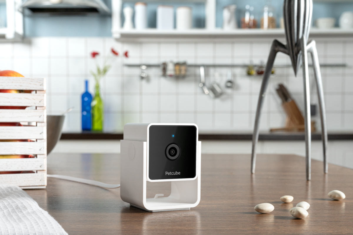 Petcube Cam Review: Petcube’s Most Affordable HD Camera