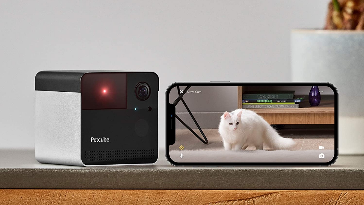 petcube-play-review-the-best-value-pet-camera