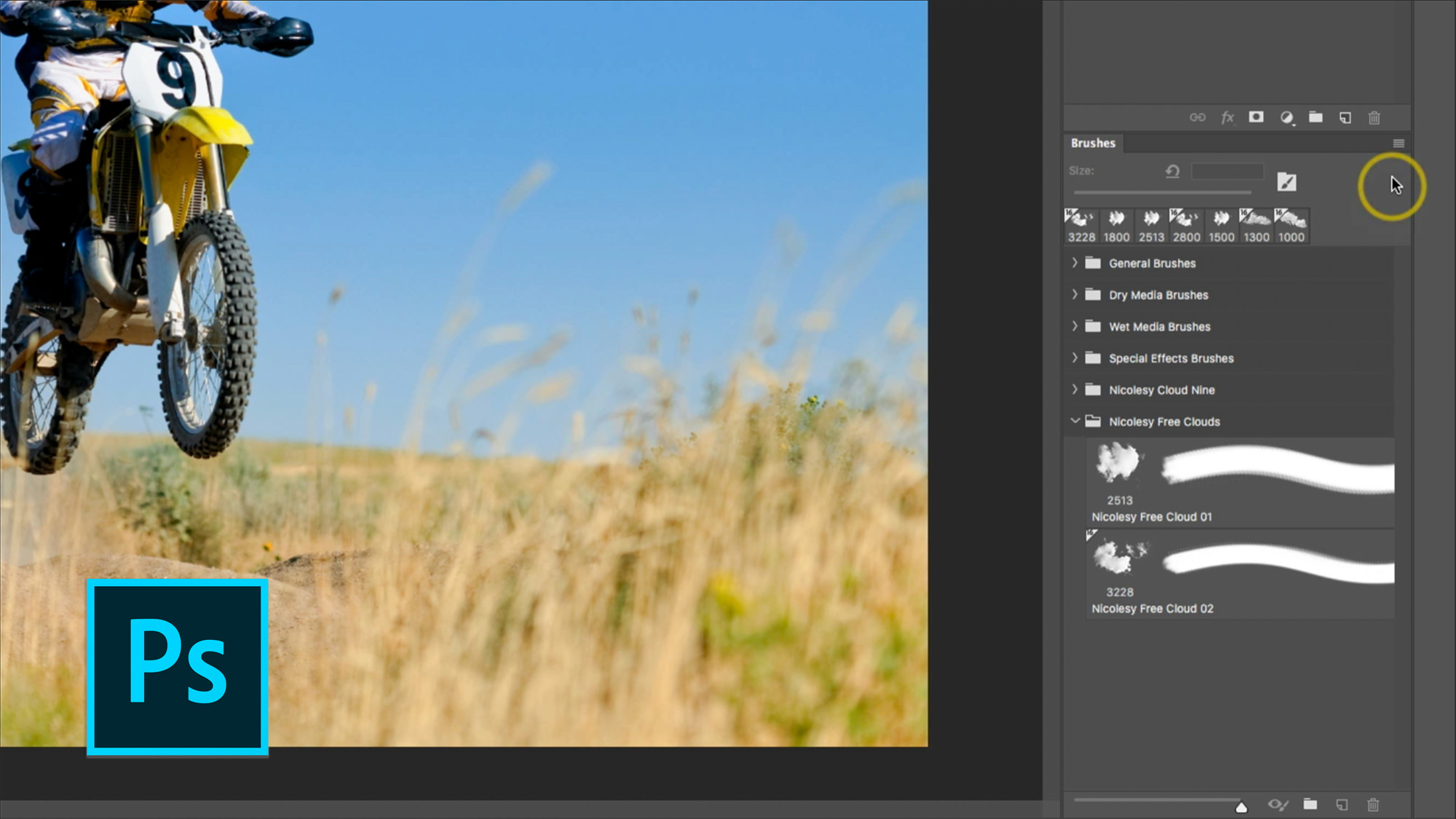 Preset Manager In Photoshop And Photoshop Elements