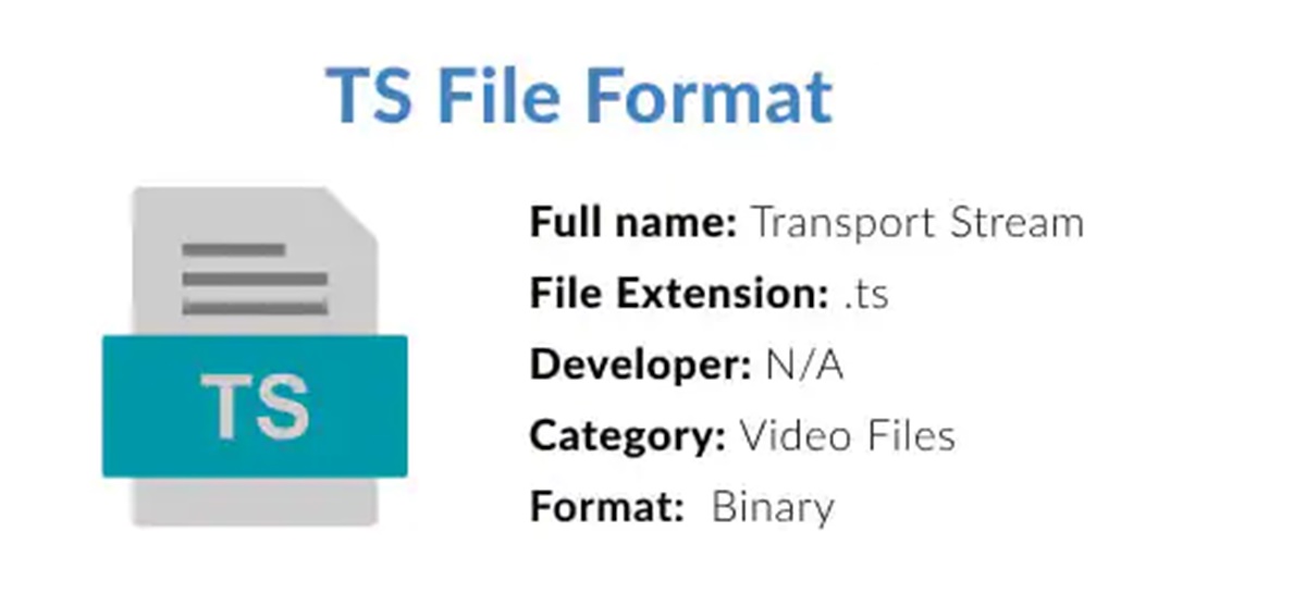 TS File (What It Is & How To Open One)