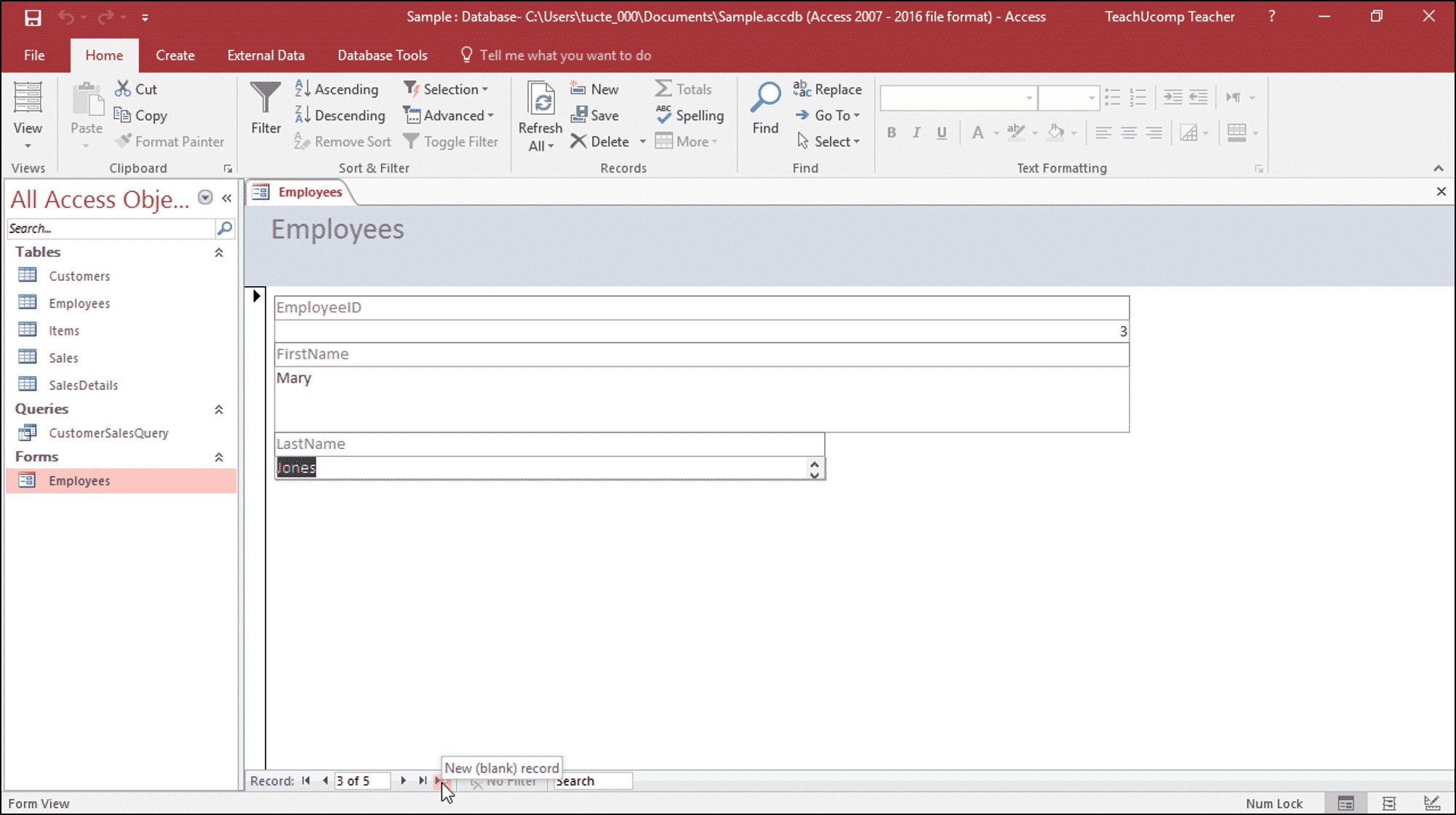 Use Access Input Forms To Enter And Modify Data