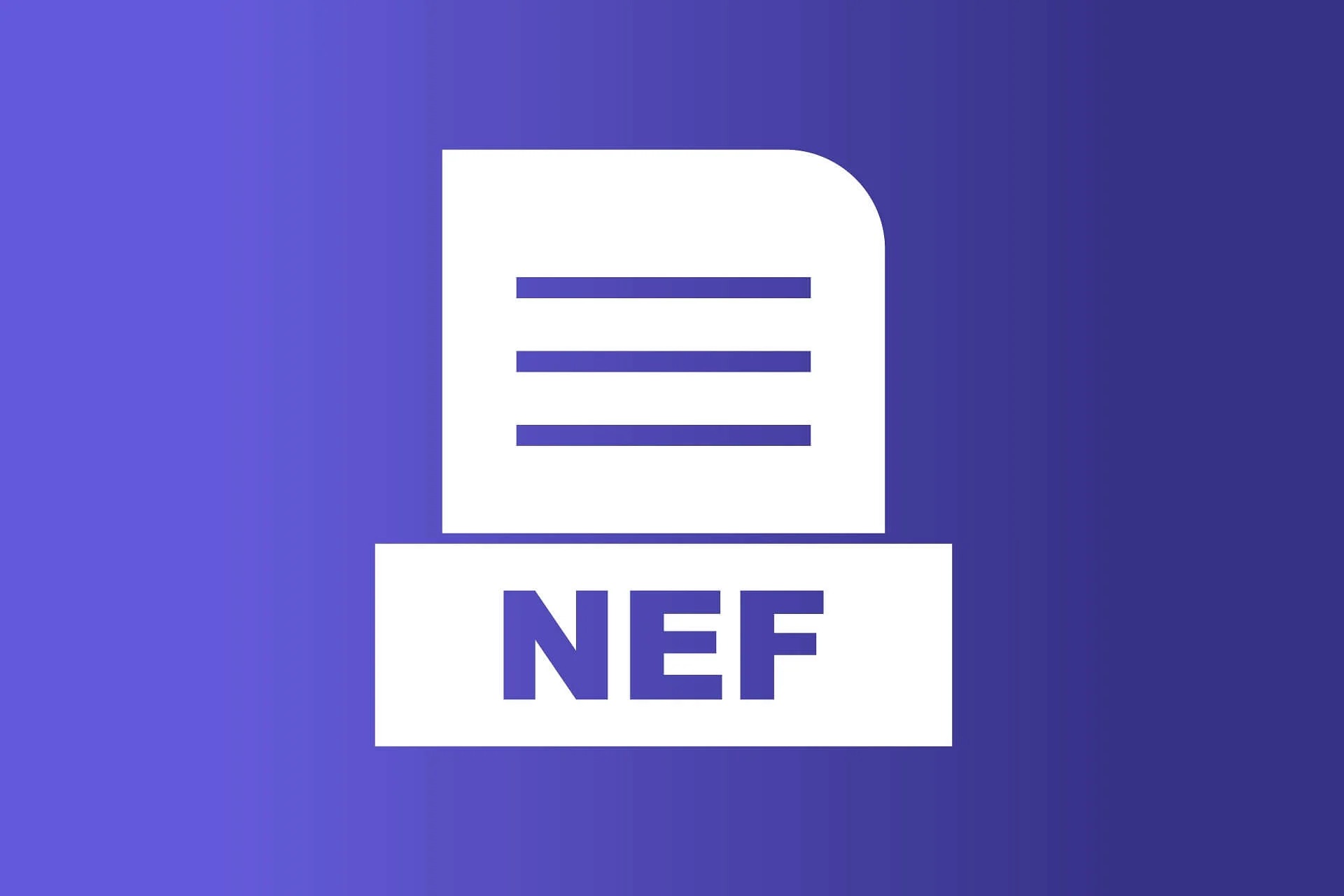 What Is An NEF File? (And How To Open One)