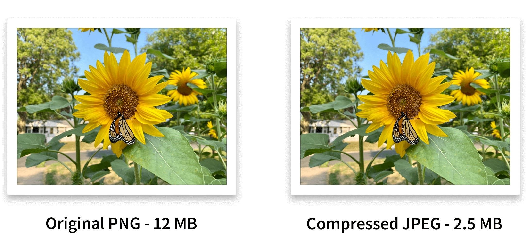 What Is Media File Compression?