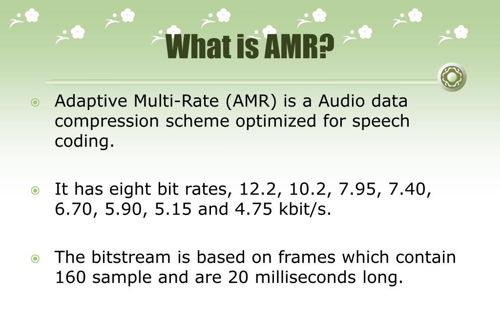 What Is The Adaptive Multi-Rate (AMR) Format?