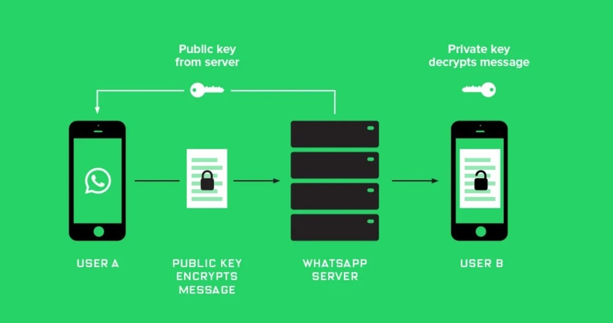 WhatsApp Encryption: What It Is And How To Use It