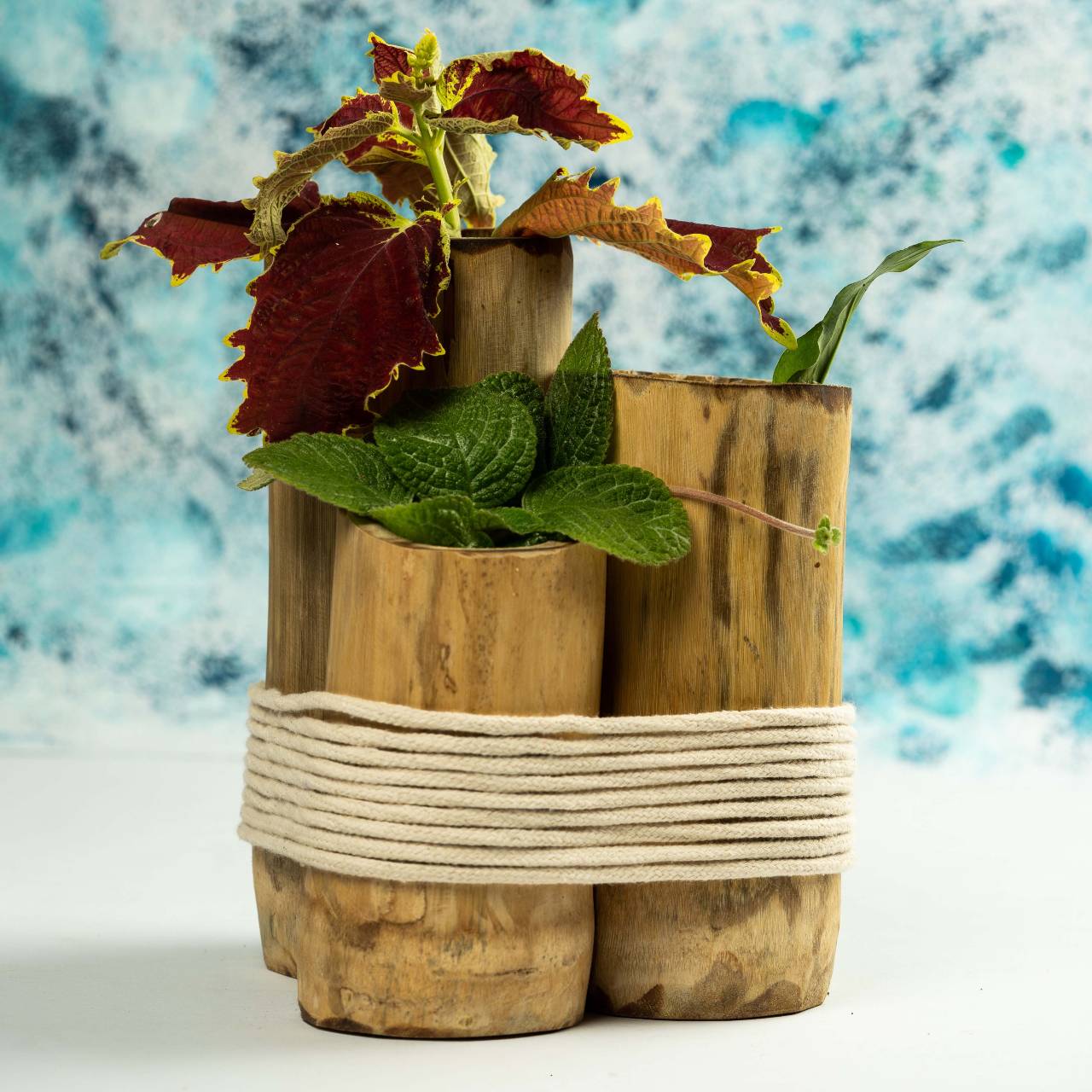 10 Best Bamboo Vase for 2024