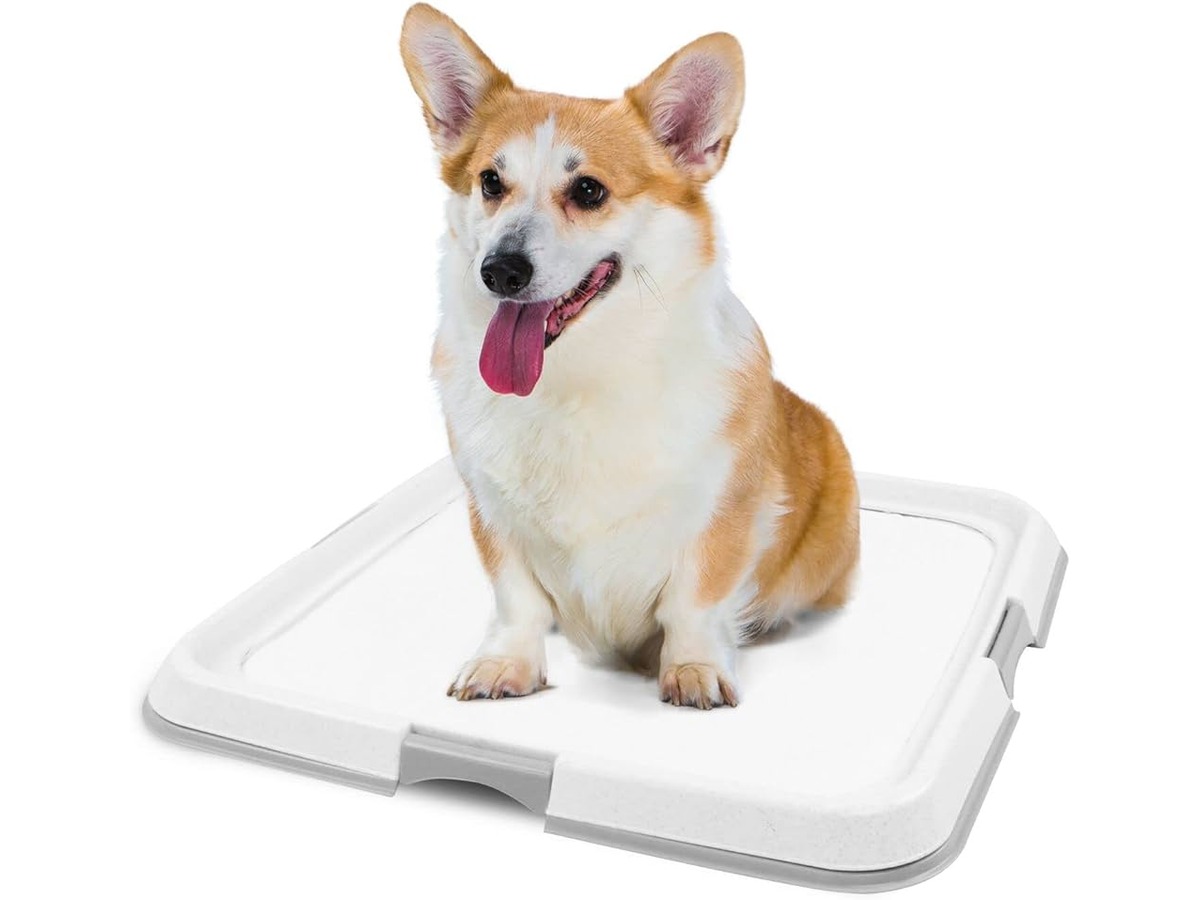 10 Unbelievable Puppy Pad Holder Tray for 2023