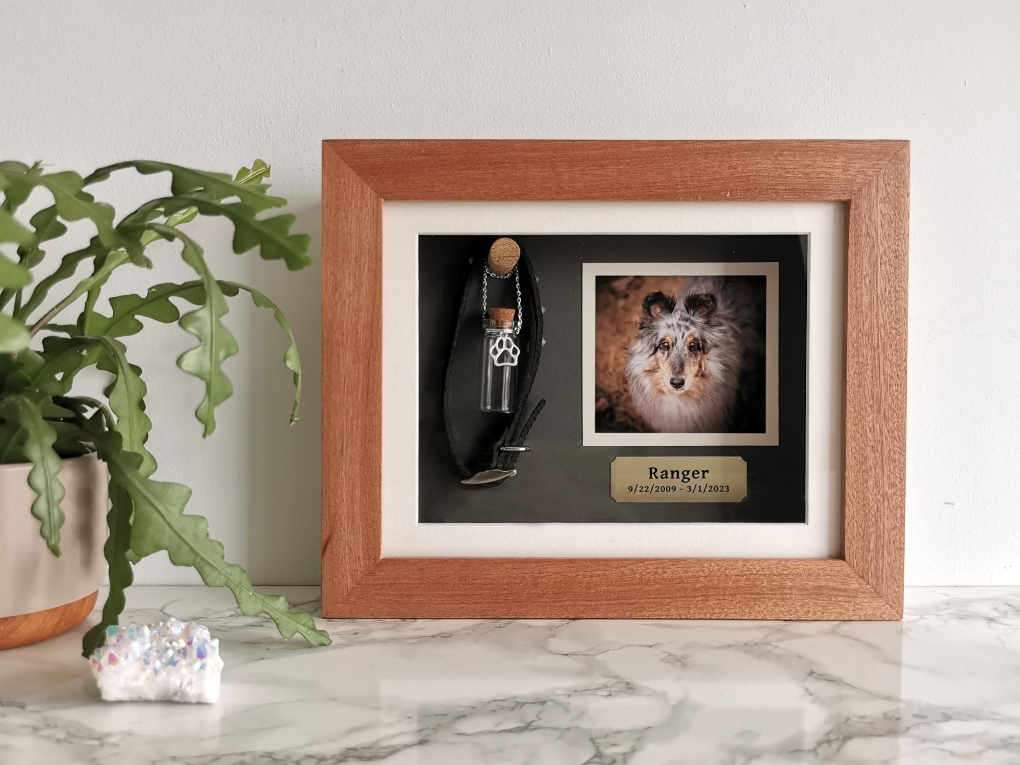 15-amazing-pet-memorial-picture-frame-for-2023