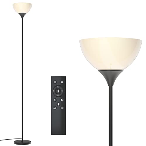PESRAE Floor Lamp with Remote Control - Matte Black