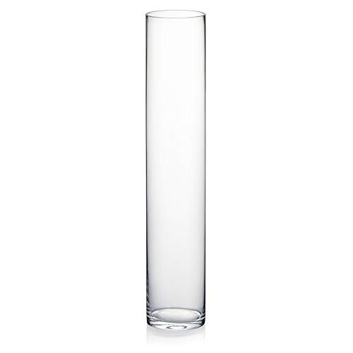 WGV Tall Cylinder Glass Vase
