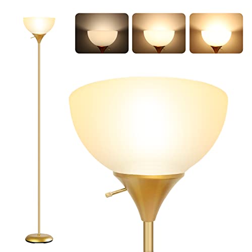 Industrial Floor Lamp with Dimmable Brightness