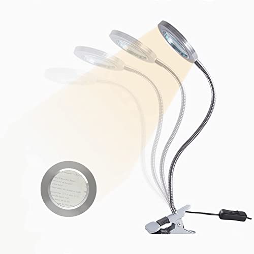 LED Desk Lamp with Magnifying Glass