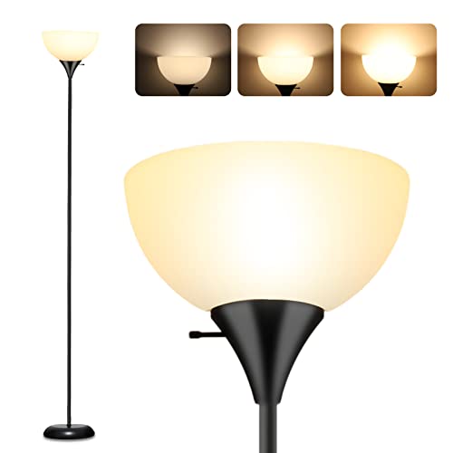 Industrial Metal Floor Lamp with Dimmable Brightness