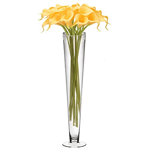 CYS EXCEL Clear Glass Trumpet Vase