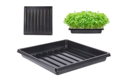 BeGrit 1010 Tray Without Holes - Shallow Tray for Microgreens (5-Pack)