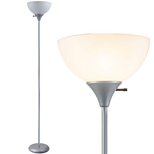 18 in. Henry Silver LED Floor Lamp with Rotary Switch
