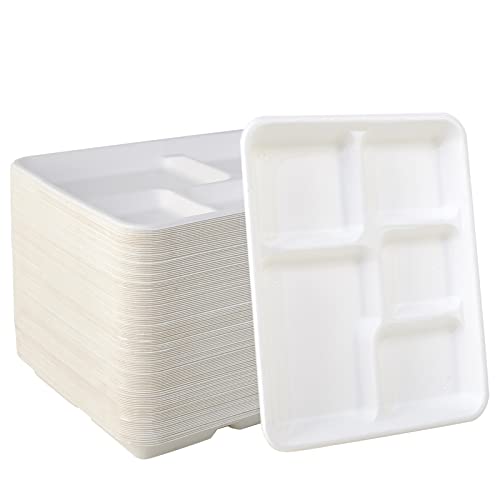 500 Pack 5 Compartment Plates: Eco-Friendly Disposable Trays