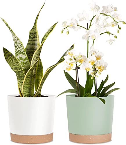 kubvici 8'' Plastic Flower Planter Pots Set