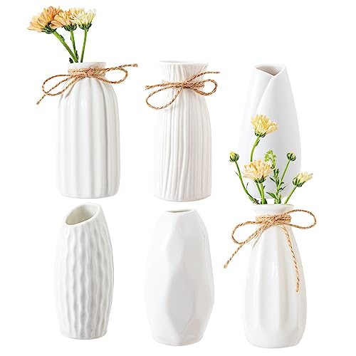 AKAGUIES Small Ceramic Vases Set