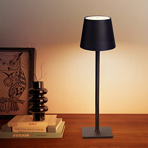 CHLORANTHUS Cordless Table Lamp - Stylish and Versatile Lighting Solution