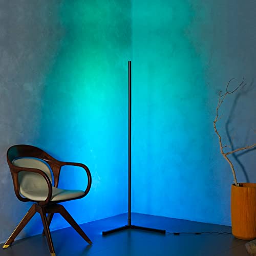 RGB Color Changing Floor Lamp for Living Room