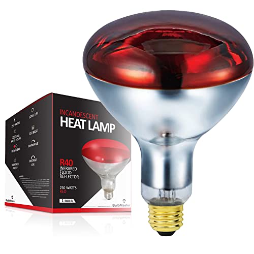 BULBMASTER 250W R40 Red Heat Lamp Flood Light Bulbs