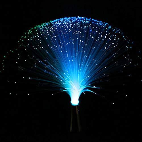 LED Multicolor Changing Fiber Light