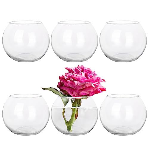 Set of 6 Clear Glass Vases, Decorative Centerpieces