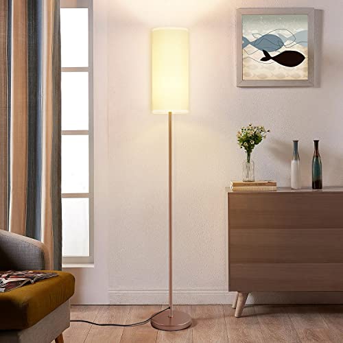 Modern Floor Lamp with Remote Control and Stepless Dimmable Bulb