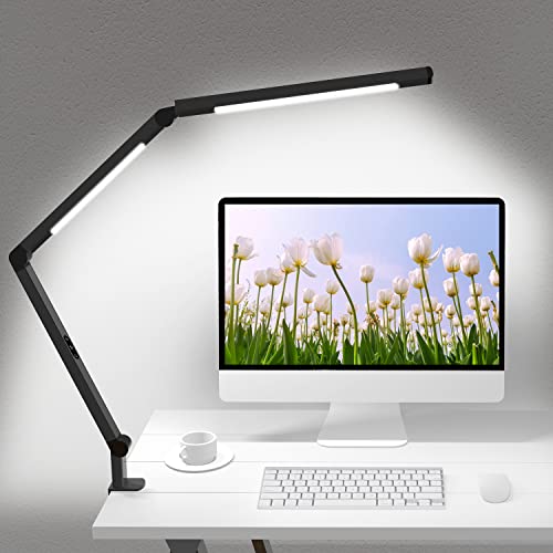 Adjustable LED Desk Lamp with Dual Light and Clamp