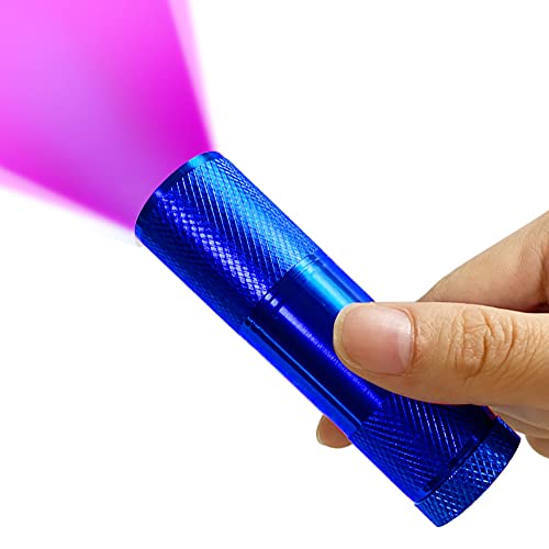 Mini UV Curing Light