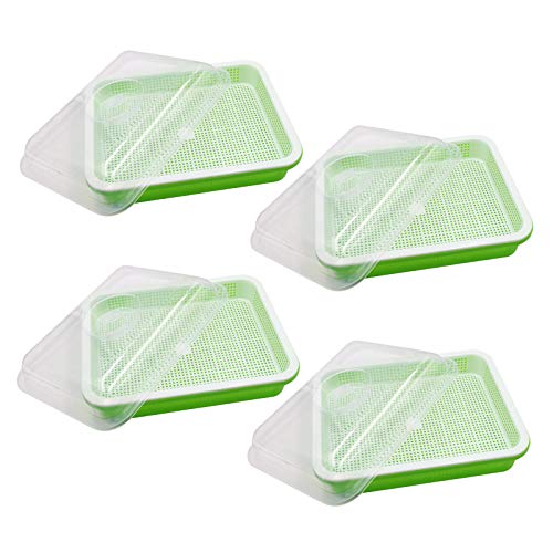 Seed Sprouter Tray with Lid