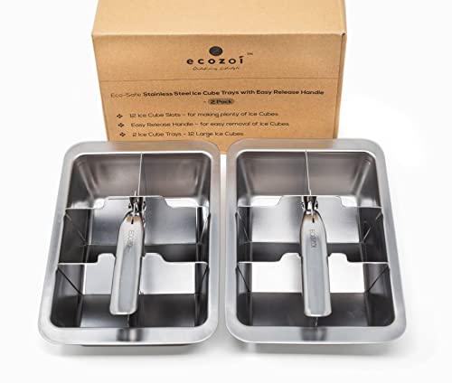Ecozoi Stainless Steel Ice Cube Trays - 2 Pack
